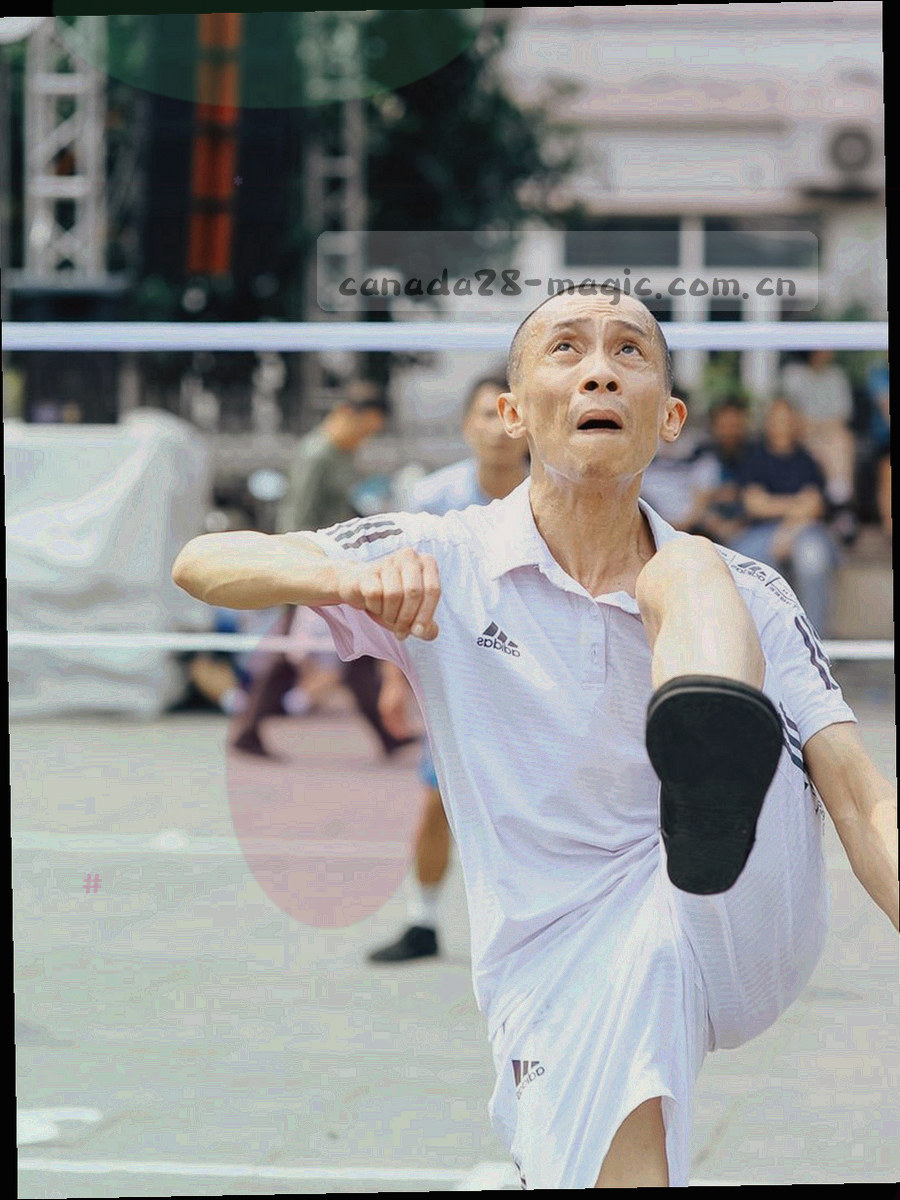 一本竖版索引册封面抽象插画，带深蓝底与暖金书脊线